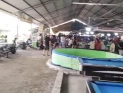 Ketika Dadu Bergulir, Ayam Beradu: Kali Pecabean Menanti Jawaban Penegakan Hukum
