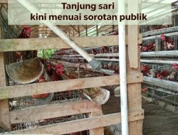 Wow Fantastik Anggaran Dana Desa Dana BUMDes Tanjung Sari Rp 200 Juta Diduga Diselewengkan Pengurus untuk Kebutuhan pribadi.