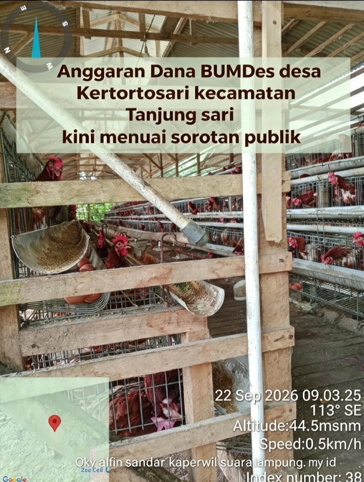 IMG 20261015 182500